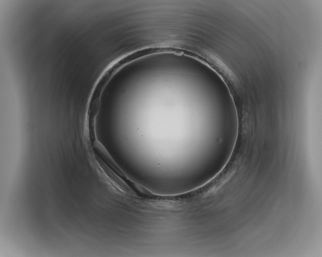 X0000113580932200909181304