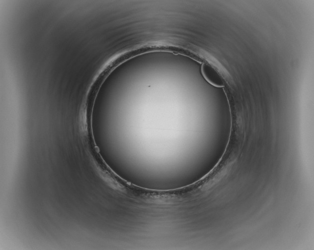 X0000113580934200909181304