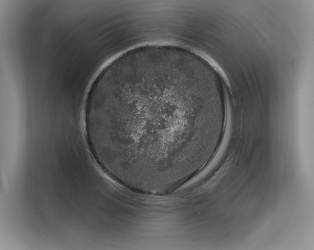 X0000113580935200909181304