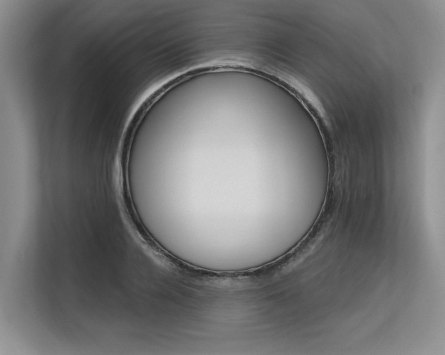 X0000113580936200909181304