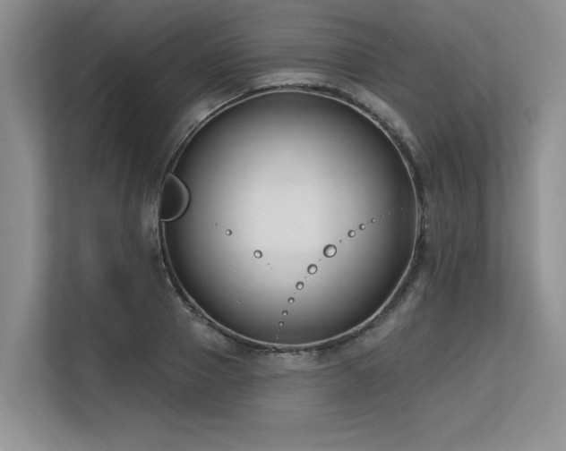 X0000113580937200909181304