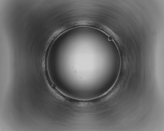 X0000113580938200909181304