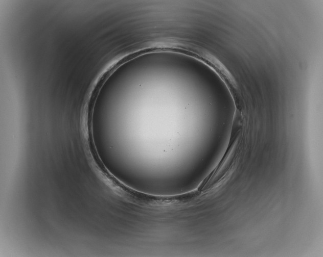 X0000113580939200909181304