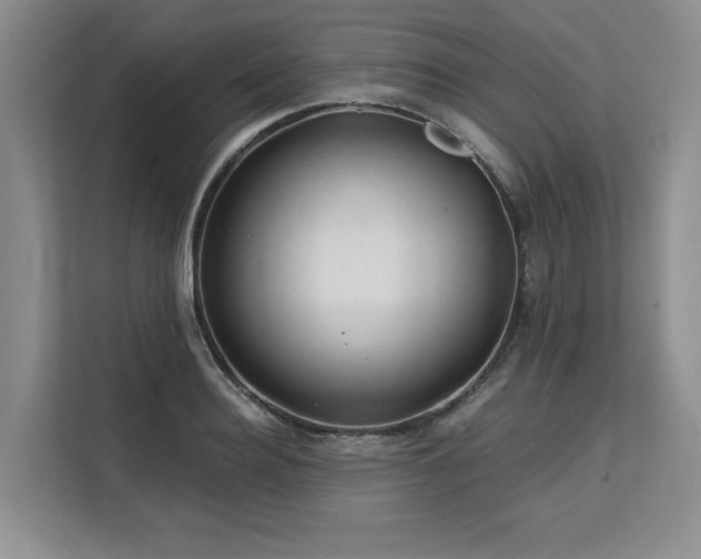 X0000113580940200909181304