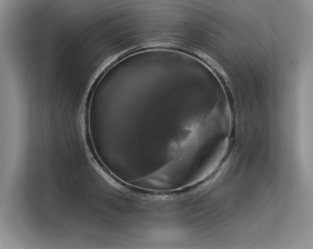 X0000113580941200909181304