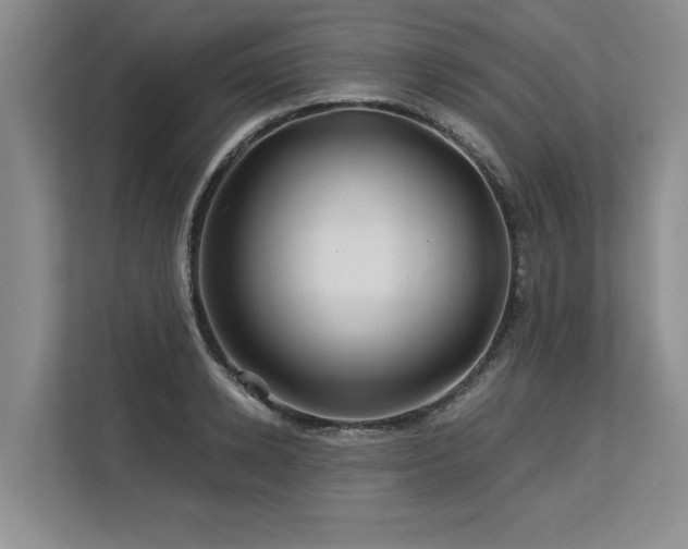X0000113580942200909181304