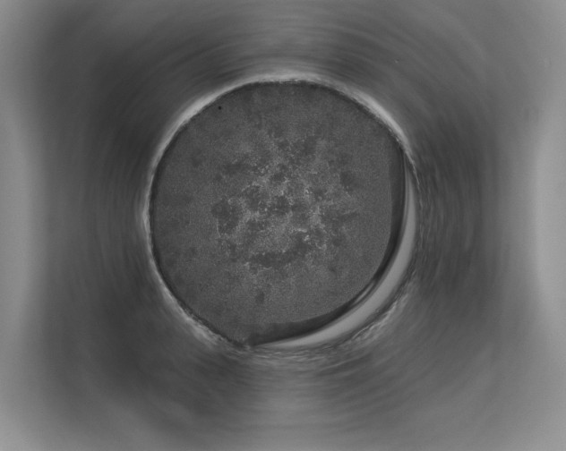 X0000113580943200909181304