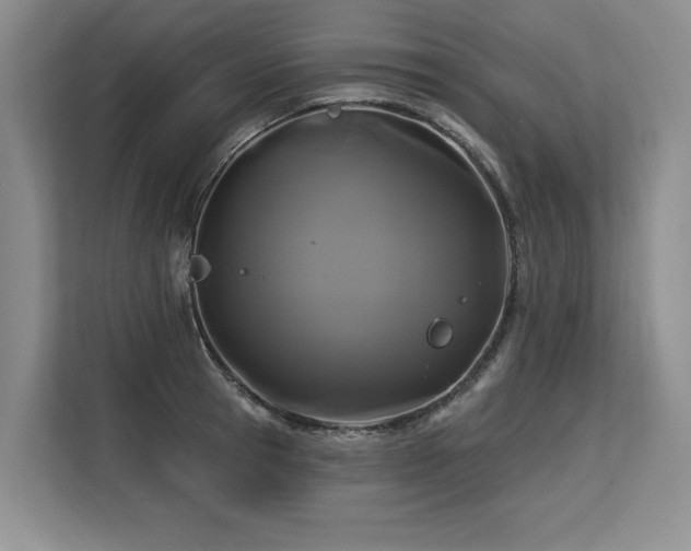 X0000113580945200909181304