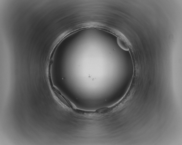 X0000113580946200909181304