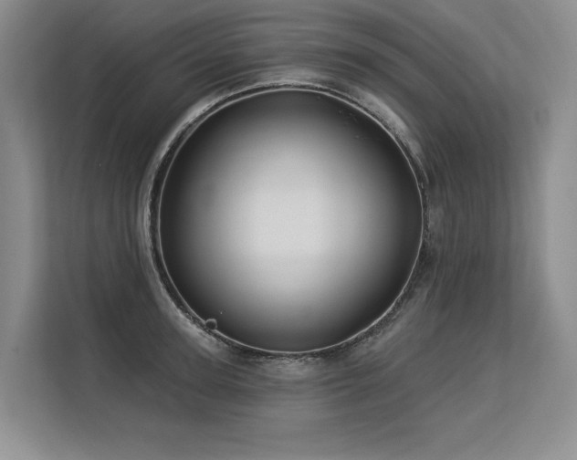X0000113580947200909181304