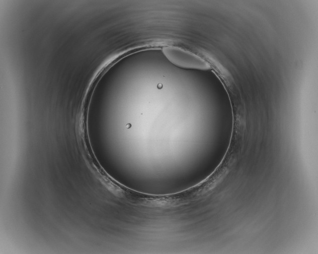 X0000113580948200909181304