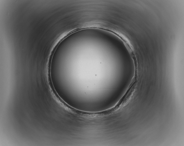 X0000113580949200909181304