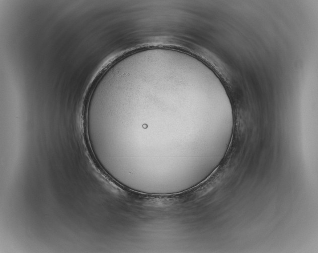 X0000113580950200909181304