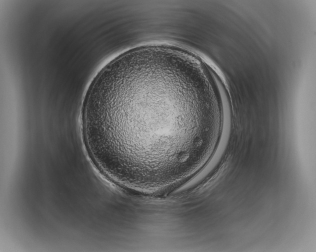 X0000113580951200909181304