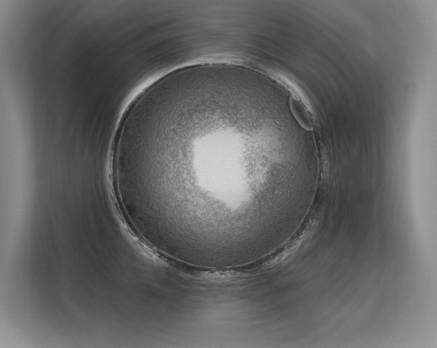 X0000113580952200909181304