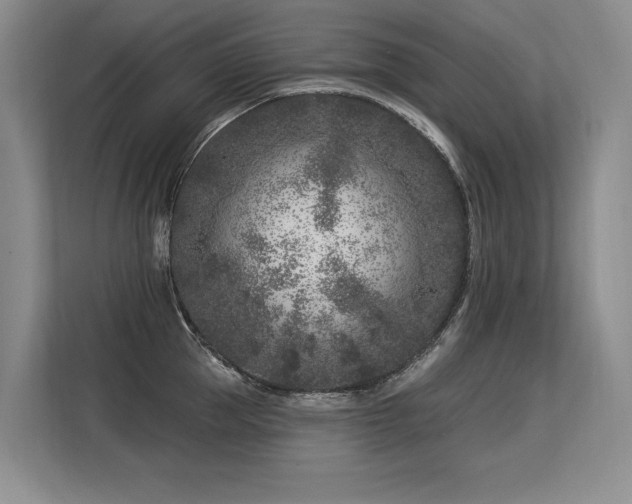X0000113580953200909181304