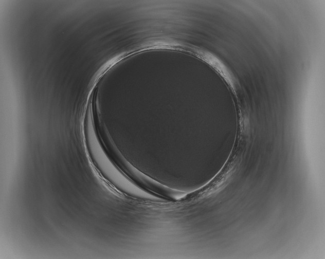 X0000113580954200909181304