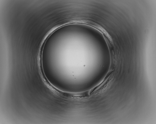 X0000113580955200909181304