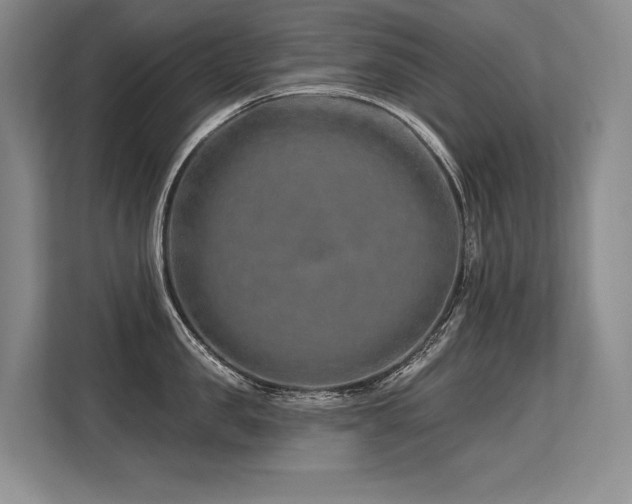 X0000113580957200909181304