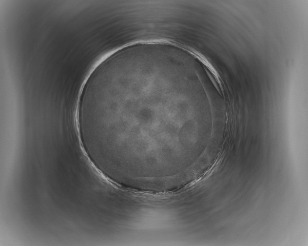X0000113580959200909181304