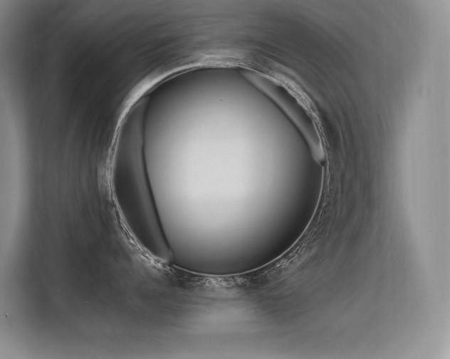 X0000113580960200909181304