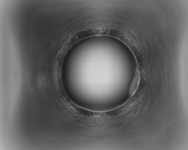 X0000113580961200909181304