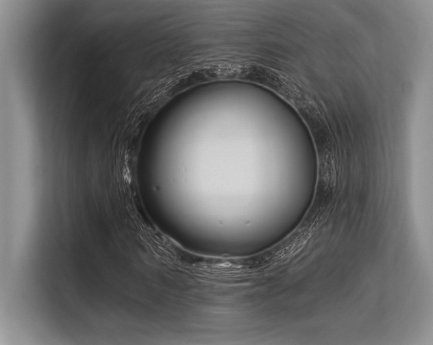 X0000113580962200909181304