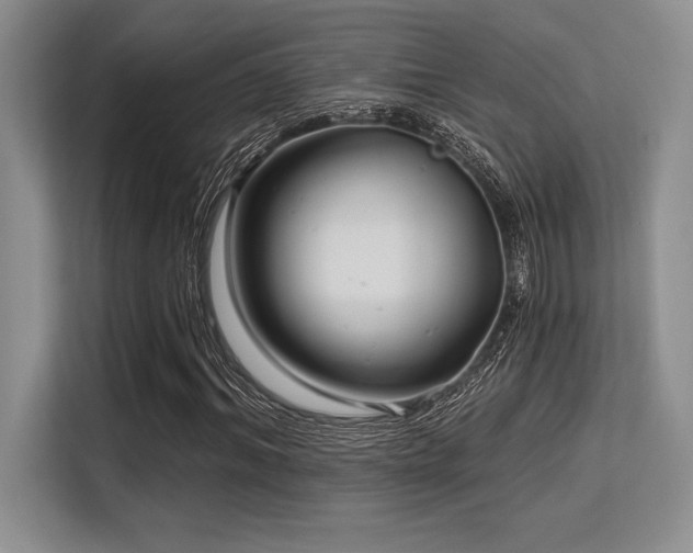 X0000113580964200909181304