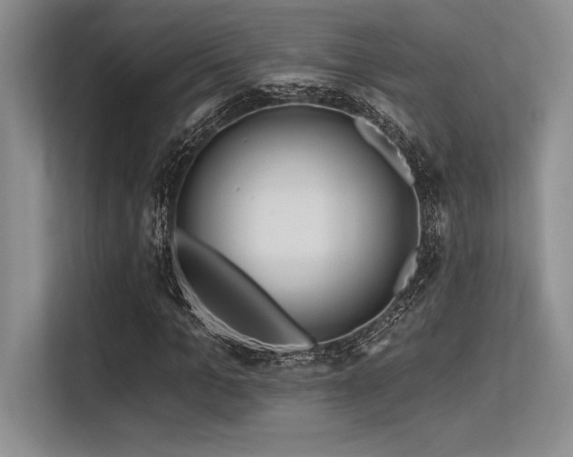 X0000113580965200909181304