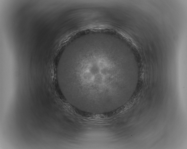X0000113580966200909181304