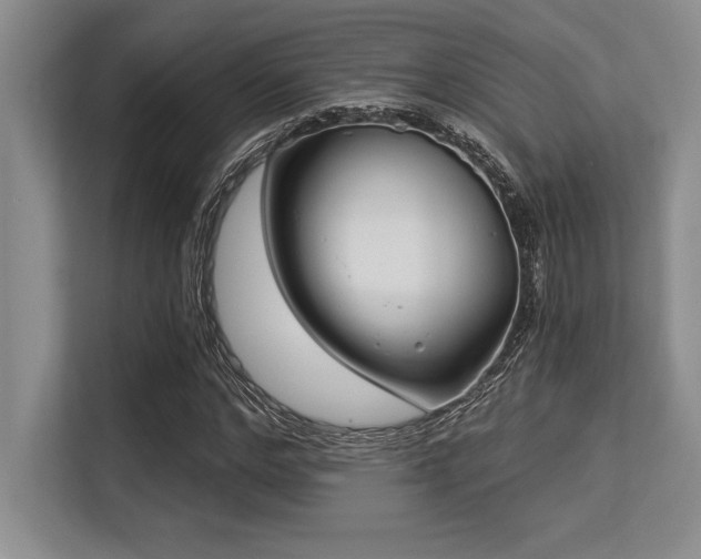 X0000113580968200909181304