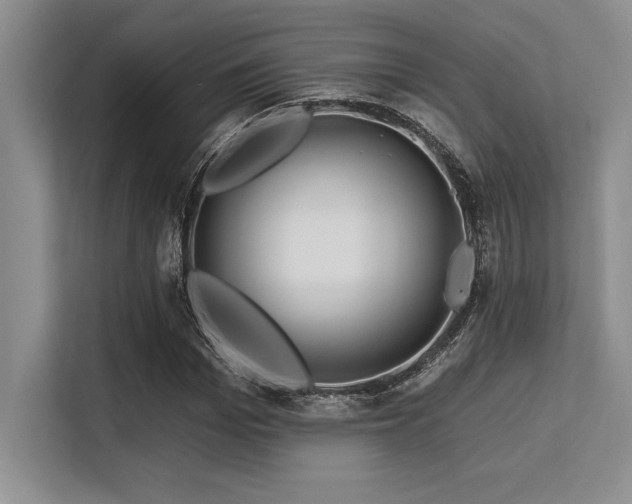 X0000113580969200909181304