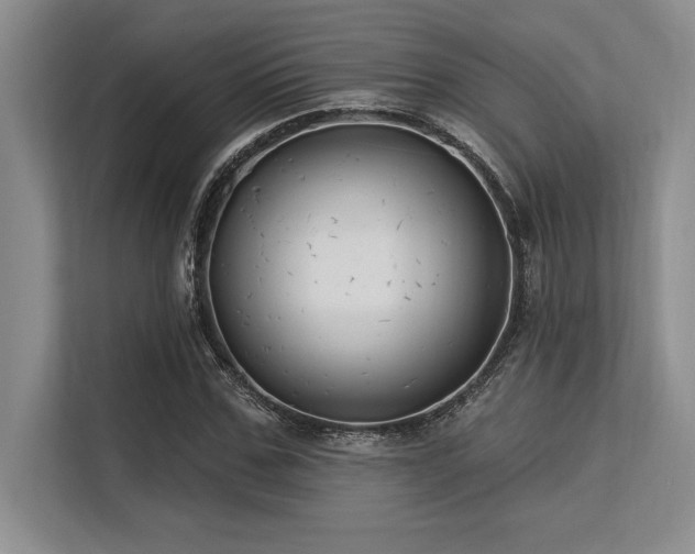 X0000113580971200909181304