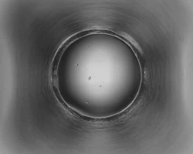 X0000113580972200909181304