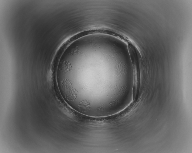 X0000113580975200909181304