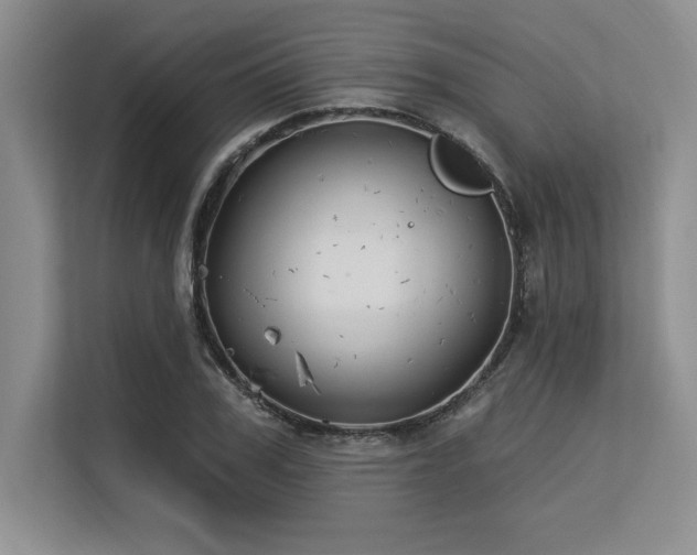 X0000113580979200909181304