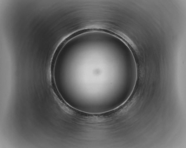 X0000113580980200909181304