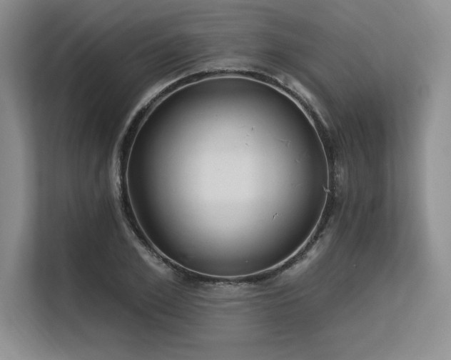 X0000113580981200909181304