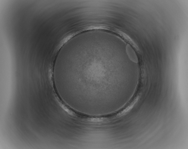 X0000113580985200909181304