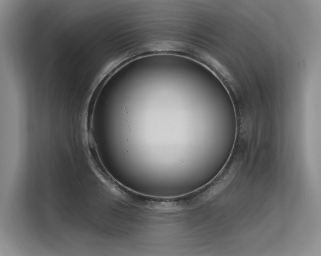 X0000113580986200909181304