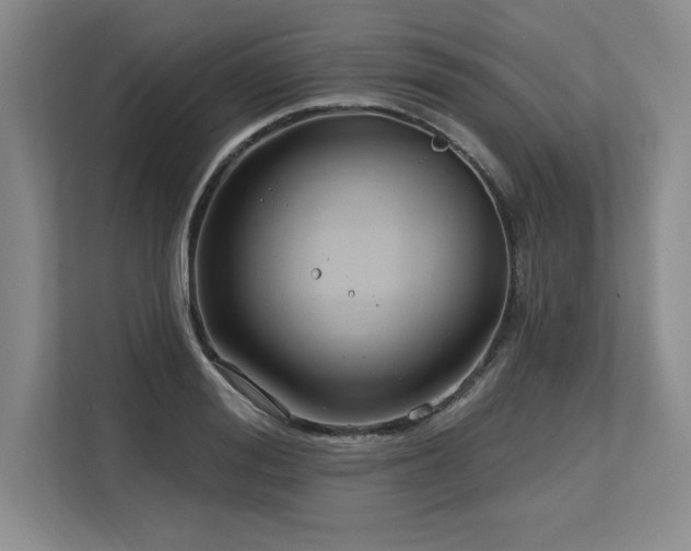 X0000113580988200909181304