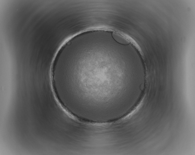 X0000113580989200909181303