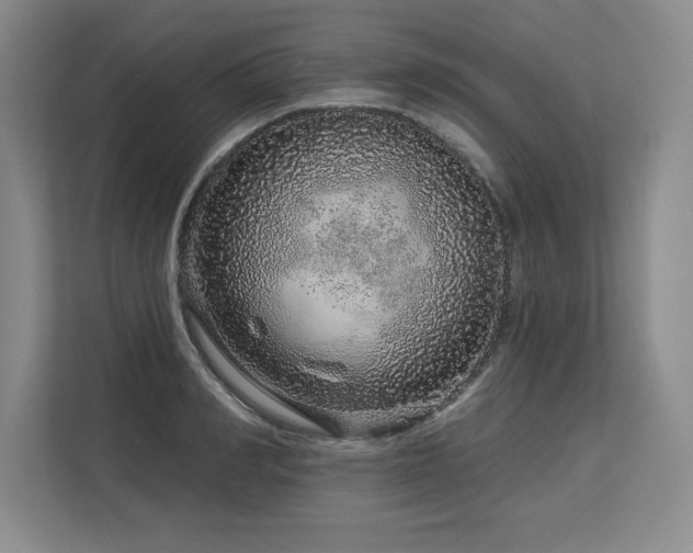 X0000113580990200909181303
