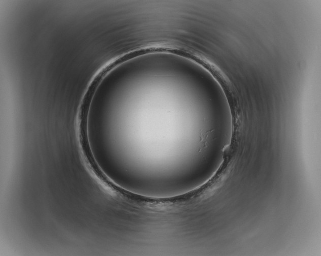 X0000113580991200909181303