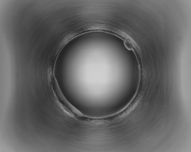 X0000113580993200909181303