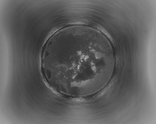 X0000113580994200909181303