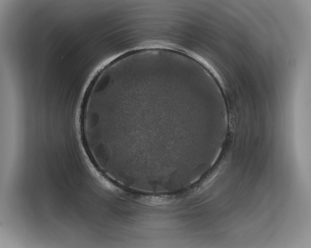 X0000113580995200909181303