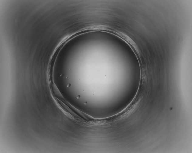 X0000113580997200909181303