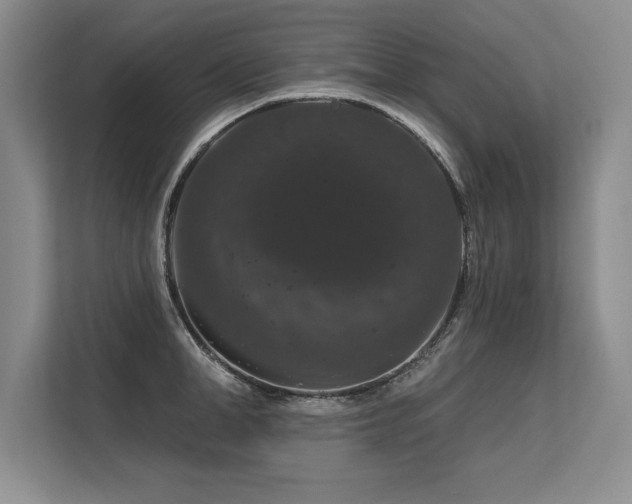 X0000113580998200909181303