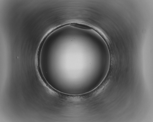 X0000113580999200909181303